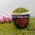 ALIBABA UTILISÉ EXCLUSIVEMENT Green haricots mungo (GF2)